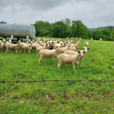 Apartamento Au Petit Bois Magique *