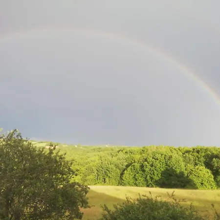 Au Petit Bois Magique *