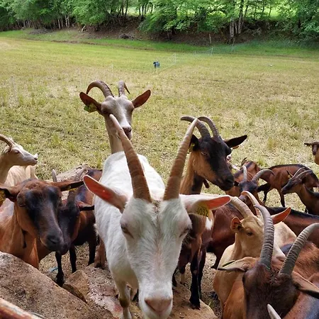 Au Petit Bois Magique * Payrac