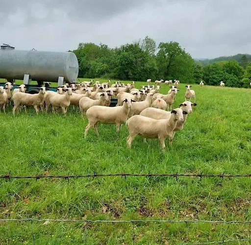 Appartement Au Petit Bois Magique *